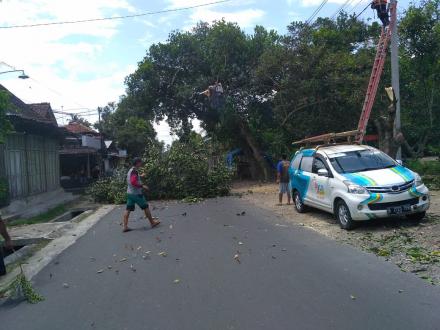 Antisipasi Kebakaran, FPRB Desa Segoroyoso Lakukan Pemangkasan Ranting Pohon